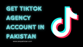 TikTok Agency Account