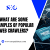 What are Some Examples of Popular Web Crawlers?