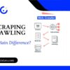Web Scraping vs. Crawling: What’s the Main Difference?