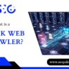 What is a Dark Web Crawler? 