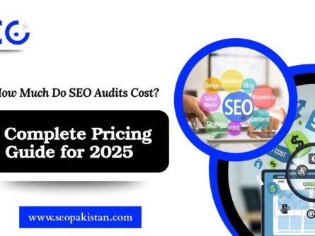 How Much Do SEO Audits Cost A Complete Pricing Guide for 2025 - SEOpakistan.com