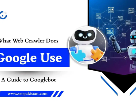 What Web Crawler Does Google Use A Guide to Googlebot - SEOpakistan.com