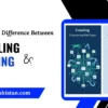 What is the Difference Between Crawling and Indexing a Website?
