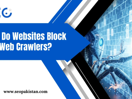 Why Websites Block Web Crawlers Complete Guide