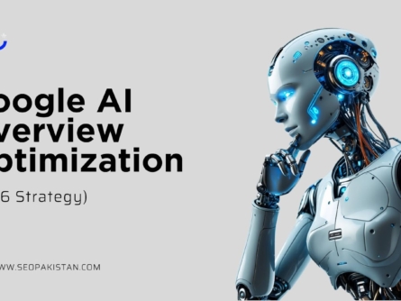 Google AI Overview optimization