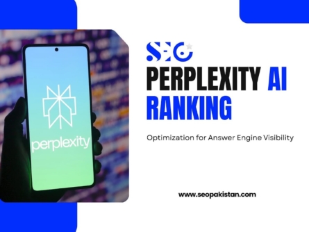 Perplexity AI ranking