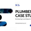 Plumber SEO Case Study: Achieve Local Search Dominance